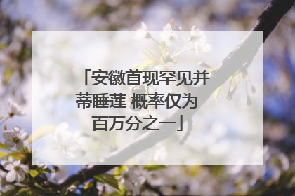 安徽首现罕见并蒂睡莲 概率仅为百万分之一