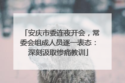 安庆市委连夜开会，常委会组成人员逐一表态：深刻汲取惨痛教训