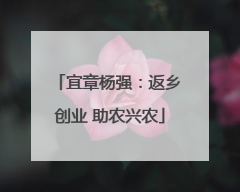 宜章杨强：返乡创业 助农兴农