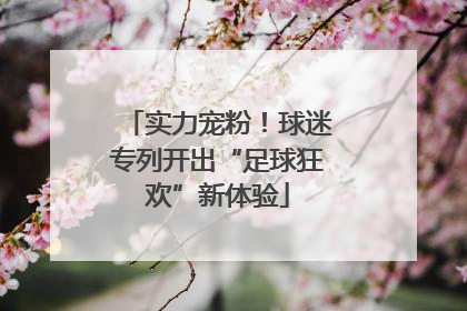 实力宠粉！球迷专列开出“足球狂欢”新体验