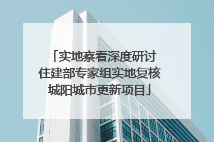 实地察看深度研讨 住建部专家组实地复核城阳城市更新项目