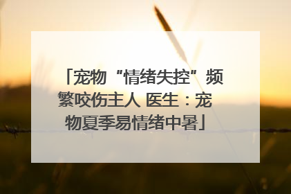 宠物“情绪失控”频繁咬伤主人 医生：宠物夏季易情绪中暑