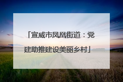 宣威市凤凰街道：党建助推建设美丽乡村