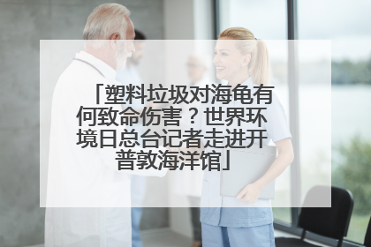 塑料垃圾对海龟有何致命伤害？世界环境日总台记者走进开普敦海洋馆