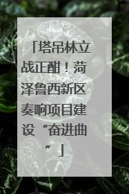塔吊林立战正酣！菏泽鲁西新区奏响项目建设“奋进曲”