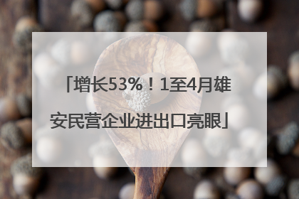 增长53%！1至4月雄安民营企业进出口亮眼