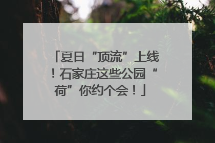 夏日“顶流”上线！石家庄这些公园“荷”你约个会！