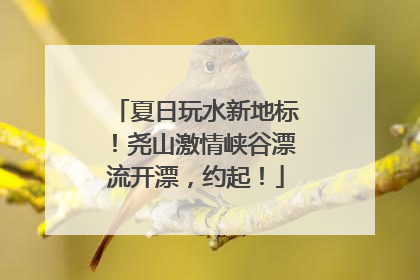 夏日玩水新地标！尧山激情峡谷漂流开漂，约起！