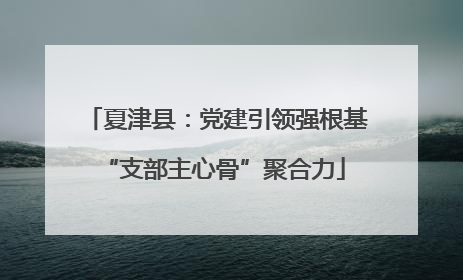 夏津县：党建引领强根基 “支部主心骨”聚合力