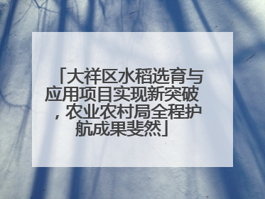 大祥区水稻选育与应用项目实现新突破，农业农村局全程护航成果斐然