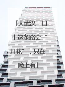 大武汉一日丨这条路会“开花”，只在晚上有