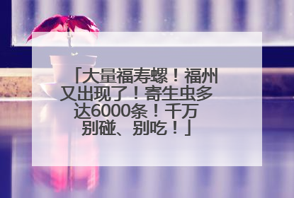 大量福寿螺！福州又出现了！寄生虫多达6000条！千万别碰、别吃！