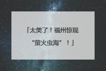 太美了！福州惊现“萤火虫海”！