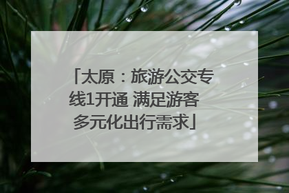 太原：旅游公交专线1开通 满足游客多元化出行需求