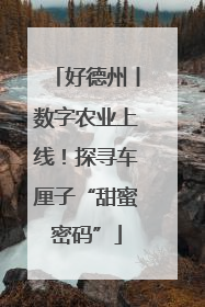 好德州丨数字农业上线！探寻车厘子“甜蜜密码”