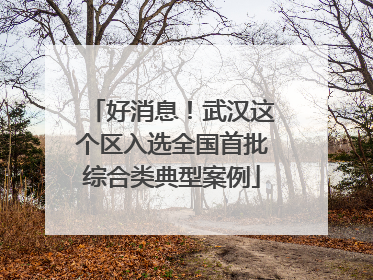 好消息！武汉这个区入选全国首批综合类典型案例