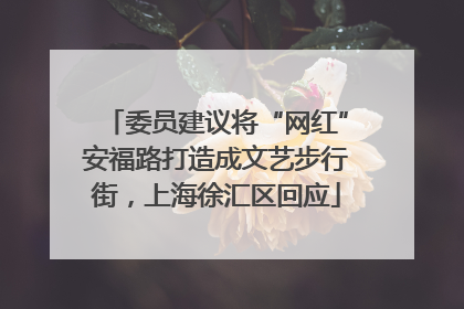 委员建议将“网红”安福路打造成文艺步行街，上海徐汇区回应
