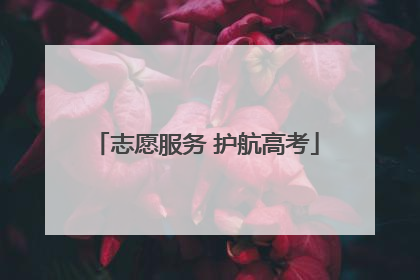 志愿服务 护航高考