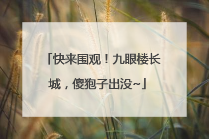 快来围观！九眼楼长城，傻狍子出没~