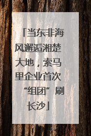 当东非海风邂逅湘楚大地，索马里企业首次“组团”刷长沙