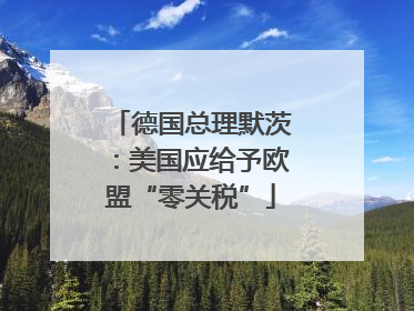 德国总理默茨：美国应给予欧盟“零关税”