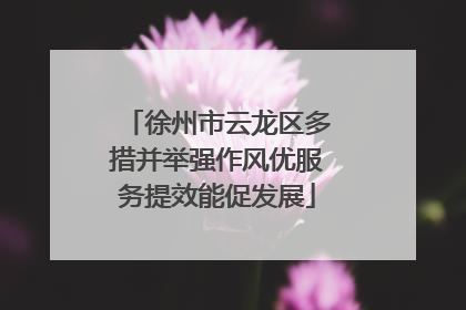 徐州市云龙区多措并举强作风优服务提效能促发展