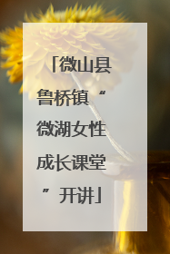 微山县鲁桥镇“微湖女性成长课堂”开讲