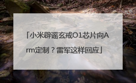 小米辟谣玄戒O1芯片向Arm定制？雷军这样回应