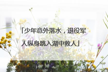 少年意外落水，退役军人纵身跳入湖中救人
