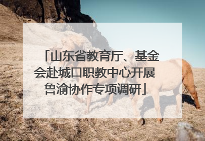 山东省教育厅、基金会赴城口职教中心开展鲁渝协作专项调研