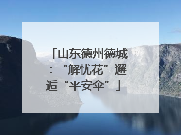 山东德州德城：“解忧花”邂逅“平安伞”