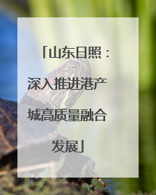 山东日照：深入推进港产城高质量融合发展
