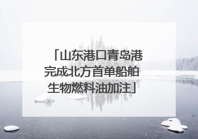 山东港口青岛港完成北方首单船舶生物燃料油加注