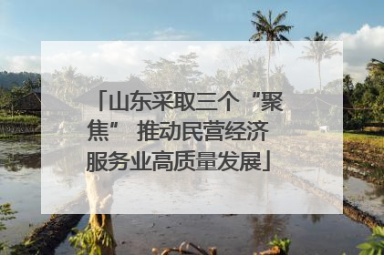 山东采取三个“聚焦” 推动民营经济服务业高质量发展