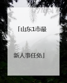 山东1市最新人事任免