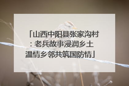 山西中阳县张家沟村：老兵故事浸润乡土 温情乡邻共筑国防情