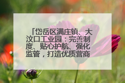 岱岳区满庄镇、大汶口工业园：完善制度、贴心护航、强化监管，打造优质营商“强磁场”
