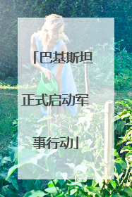 巴基斯坦正式启动军事行动