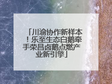 川渝协作新样本！乐至生态白鹅牵手荣昌卤鹅点燃产业新引擎