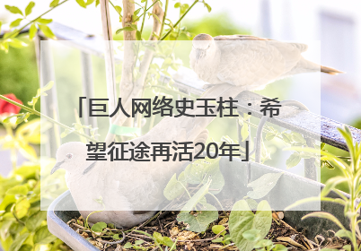 巨人网络史玉柱：希望征途再活20年