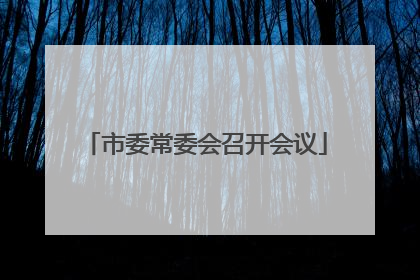 市委常委会召开会议