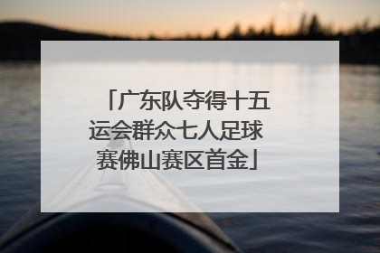 广东队夺得十五运会群众七人足球赛佛山赛区首金