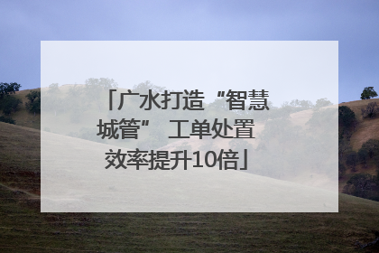 广水打造“智慧城管” 工单处置效率提升10倍