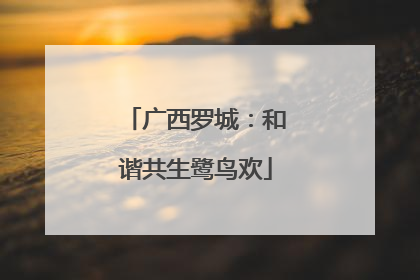 广西罗城：和谐共生鹭鸟欢