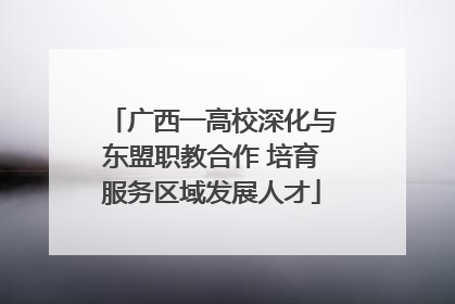 广西一高校深化与东盟职教合作 培育服务区域发展人才
