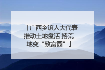 广西乡镇人大代表推动土地盘活 撂荒地变“致富园”