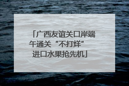 广西友谊关口岸端午通关“不打烊” 进口水果抢先机