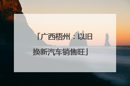 广西梧州：以旧换新汽车销售旺