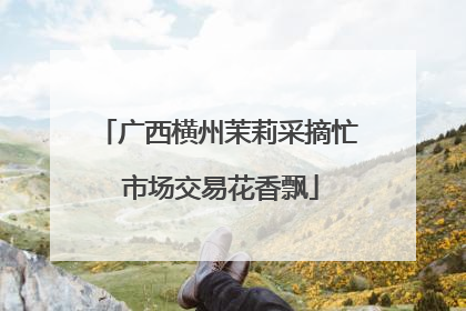 广西横州茉莉采摘忙 市场交易花香飘