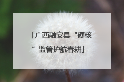 广西融安县“硬核”监管护航春耕